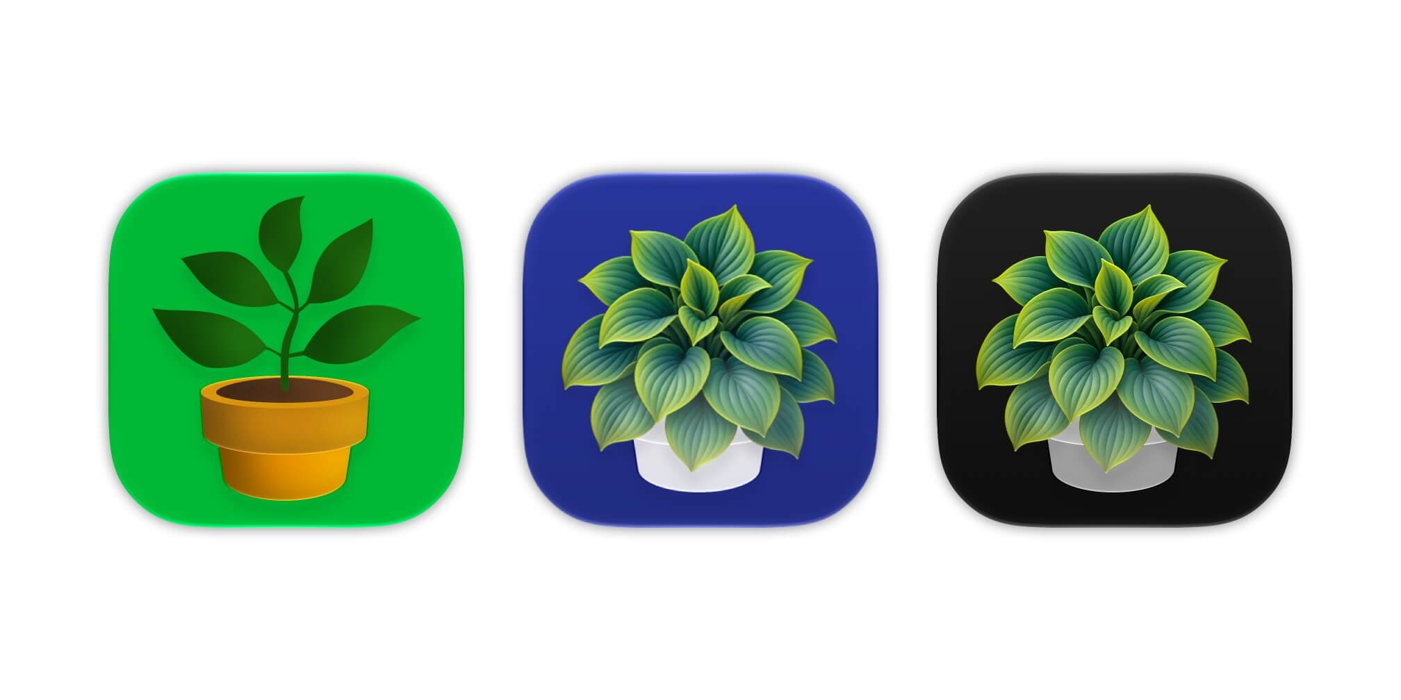 The old icon, and the new icons (default + dark) of PlantPal.